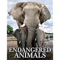 Endangered Animals