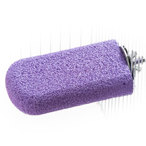 Image of Bird Perch Grinding Stand - Ideal for Small & Medium Birds Like Parrots, Budgies, and for Chinchillas, Hamsters. Great for Beak & Teeth Grinding, Climbing & Jumping (Purple, L)