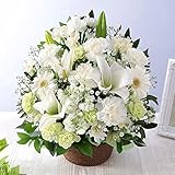 旬のおまかせアレンジ シルキーホワイト～リリー～M 生花 お供え お悔やみ 花 お彼岸 お盆 命日 ユリ