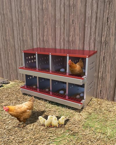 Garvee Pondoir pour Poules, Nichoirs en Métal à 8 Compartiments, Étanche, Antirouille et Ventilé, Plate-Forme de Repos, Pondoir Mural Enroulable pour Poules