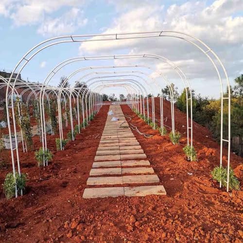 Arche de jardin en métal - Support antirouille pour plantes grimpantes, roses et vignes - Tonnelle décorative pour mariage et événements - 80 x 200 cm - Base robuste incluse - Finition blanche