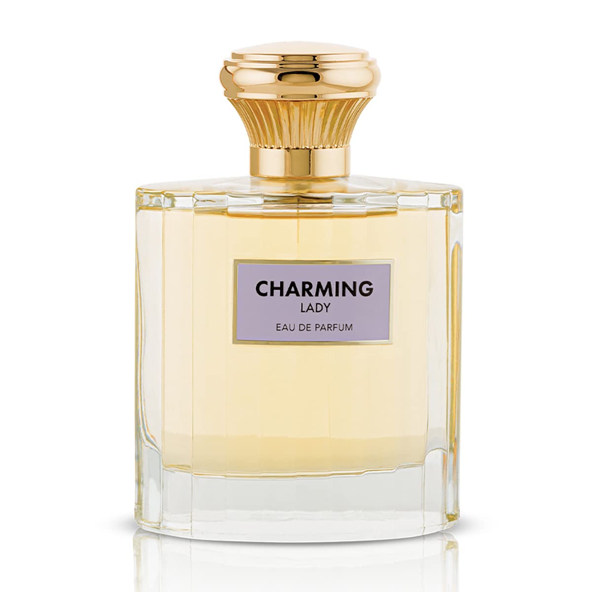 Perfumes for Women Charming Lady Eau De Parfum Perfume For Woman 100ml, Fragrances, For Her