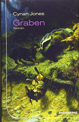Preisvergleich Produktbild Graben: Roman