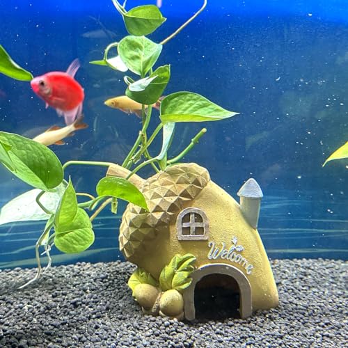 Aquarium-Fish-Tank-Decoration-Fruit-Series-Cave-Fish-Tank-Landscape-Small-Fish-Tank-Shelter-Small-Fish-House-Acorn-House-Hamster-Cave-Lizard-Cave-Small-Reptile-Ornament-Cave-House