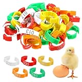 Nogeqi Lot de 50 anneaux de poulet - Pour volaille - Identification des jambes - Pour poulet - Numérotés pour canards, goose et ferme (5 couleurs, 16-18,5 mm)
