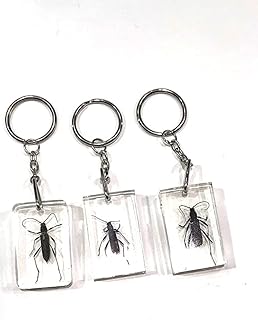 Real Bug Keychain 3 PC Set