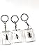 Real Bug Keychain 3 PC Set