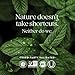 New Chapter Iron Supplement, Whole-Food Fermented Iron Complex Made with Organic Vegetables & Herbs + One Daily Non-Constipating Dose- 90ct, 3 Month Supply
