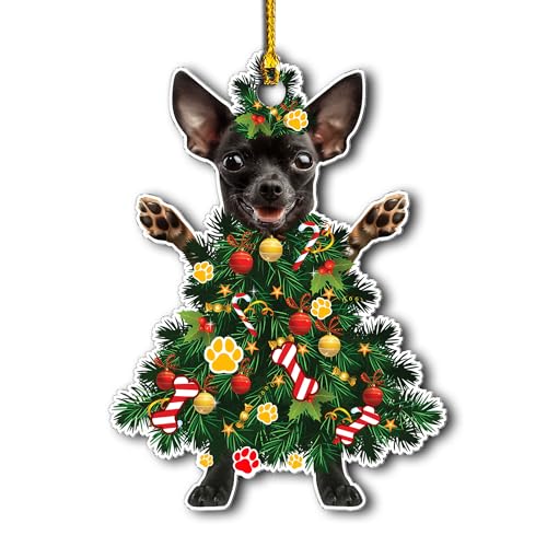 para perro chihuahua Marca Crazytops