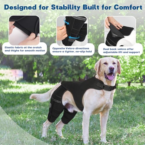 Image of Dog Knee Brace for Hind Leg - Adjustable Dog Rear Leg Support Brace with 4 Metal Stabilizers, Helps with Torn CCL, Luxating Patella, Ligament Injuries, Hip Dysplasia,L