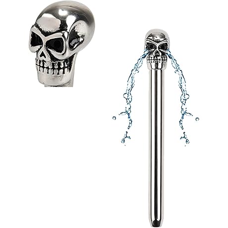 Stainless Steel Skeleton Urethral Dilator: A Head Scratching Exploration Into Urethral Stimulation