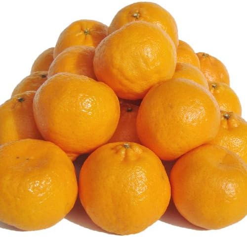 Amazon 愛媛県産 ポンカン 訳あり 5kg 甘い 果物 柑橘 清家ばんかんビレッジ 清家ばんかんビレッジ みかん 柑橘類 通販