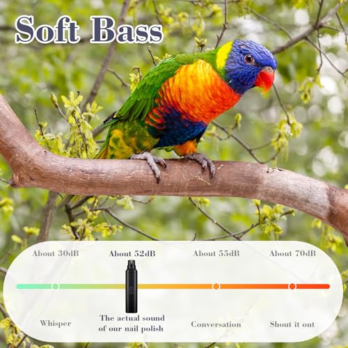 Image of Lasnten 2 Pcs Bird Nail Grinder with Clipper Bird Nail Trimmer File Pet Grooming Tool for Parrot Budgerigars Parakeets Myna Conure Finches Lovebirds(Black)