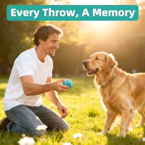 Image of Sunraymascota 6-Pack Tennis Balls for Dogs Fetch Toys,for Beginner Practice