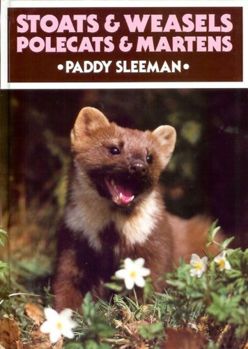 Stoats & Weasels Polecats & Martens