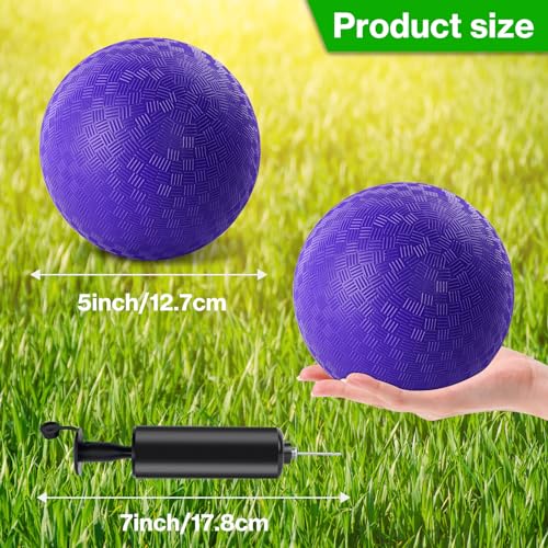 HSLCGF 24 Pcs Dodgeballs 5 Inch Playground Ball Purple Kickball Inflatable Rubber Handball Bouncy Dodge Ball with 1 Hand Pump for Outdoors Ball Games Gym Camps Picnic (Purple)