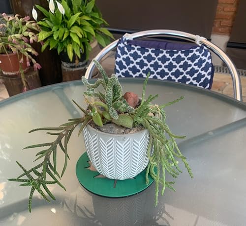 03 TAPETINHOS ABSORVENTES PARA VASOS DE PLANTAS (25 cm diâmetro, verde)