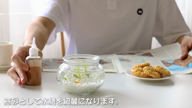 Amazon | T4U 化粧砂 観葉植物 白玉石 砂利 水槽底砂 園芸用砂 飾り石