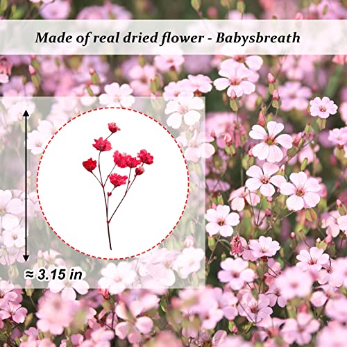 Flores secas Gypsophila rojas 42 piezas para resina miniatura 2