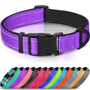 Joytale Reflective Dog Collar,Soft Neoprene Padded Breathable Nylon Pet Collar Adjustable for Medium Dogs,Purple,M