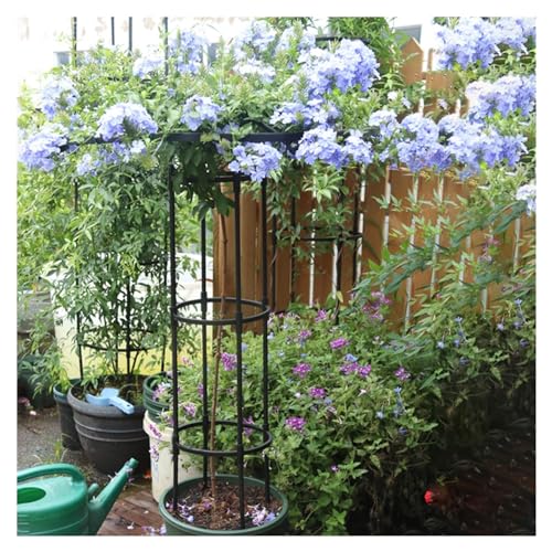 Treillis obélisque de jardin pour plantes grimpantes, 210 cm, support vertical antirouille pour jardinage intérieur et extérieur, idéal pour vignes et fleurs