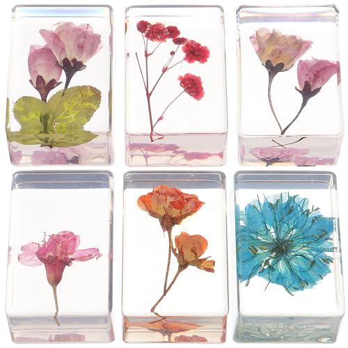 Presse-livres fleurs séchées ambrées, cadeau idéal pour les passionnés
