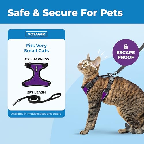 Image of Voyager Escape-Proof Step-in Lock Cat Harness & 5ft Neoprene-Handle Leash Set All-Weather Mesh with Reflective Stitching for Small to Large Cats by Best Pet Supplies, Black Trim-Purple (327), XXS