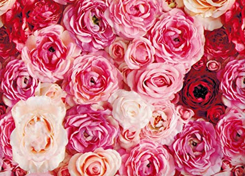 Marpimar Valentines Day Red White Pink Roses Collage Decorative Gift Wrap Paper 2 Full Sheets 27 in x 39 in