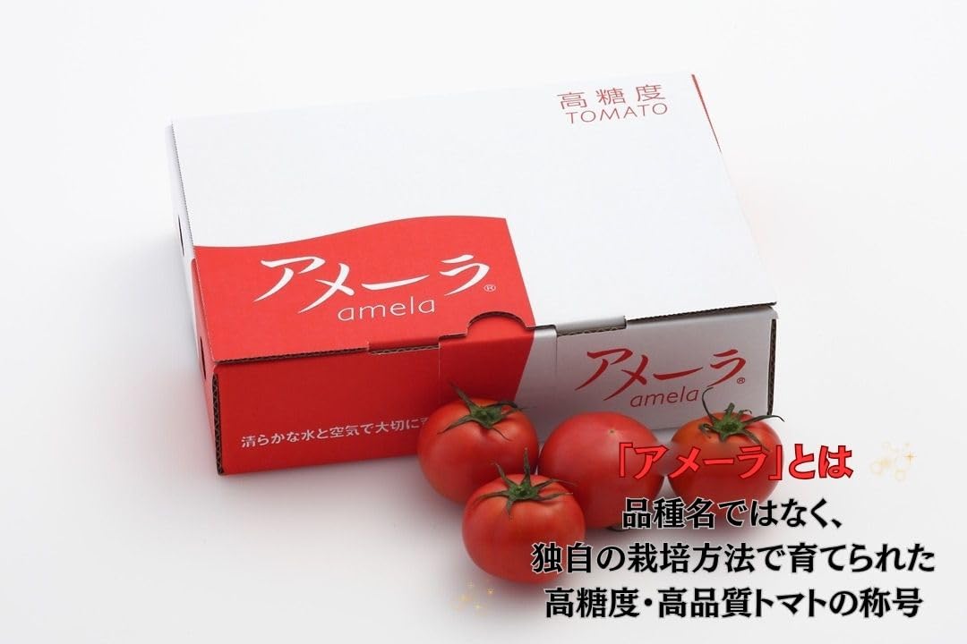 Amazon.co.jp: 国内産 サン・グリーンズ アメーラ トマト 1箱 900g