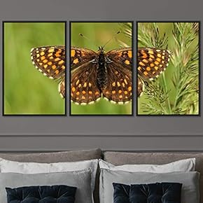 signwin 3 Piece Framed Canvas Wall Art Colorful...