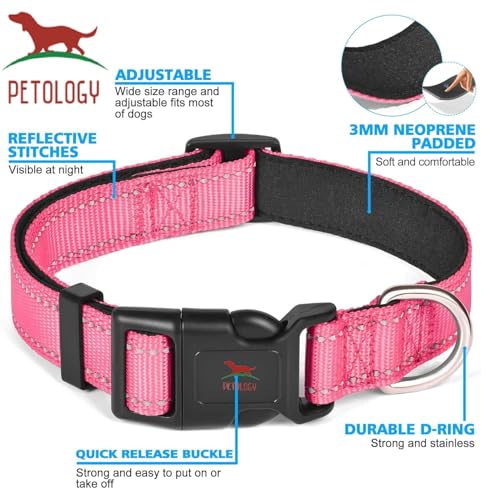Image of Petology Reflective Adjustable Dog Collar for X-Large Dogs (50-60 cms) | Soft Neoprene Padded Nylon Pet Collar with Safe & Quick Release Buckle | Comfortable, Lightweight & Durable