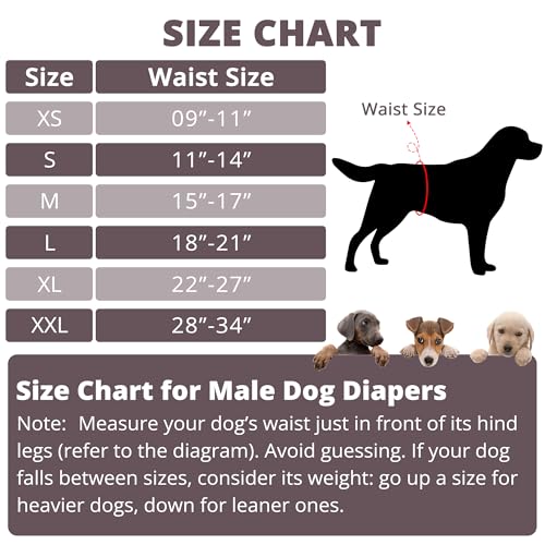 Image of Paw Legend Washable Dogs Diapers Male Dog Belly Bands for Male Dogs Diapers Reusable Puppy Doggie Diapers Male (3 Pack, Large)