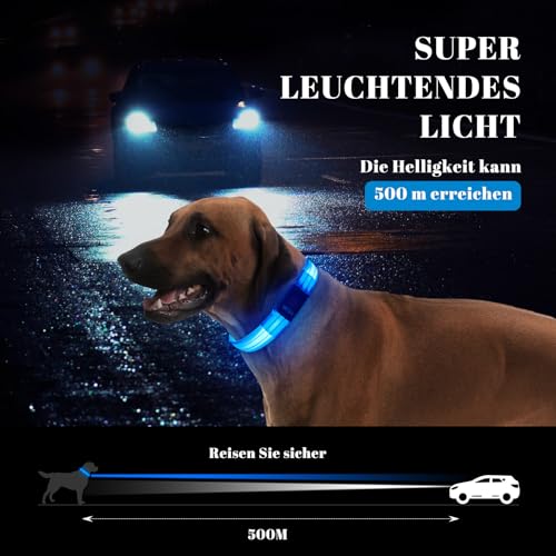 Leuchthalsband Hund, Hundehalsband Leuchtend Aufladbar mit Batteriekontrollleuchte, Wasserdichtes LED Hundegeschirr Leuchtend, Einstellbare Größe 3 Blinkende Lichter