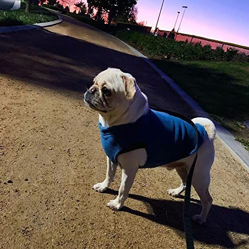 Gooby Stretch Fleece Vest Dog Sweater - Steel Blue, Medium - Warm Pullover Fleece Dog Jacket - Winter Dog Clothes For Small Dogs Boy - Dog Sweaters For Small Dogs To Dog Sweaters For Large Dogs #TOP5