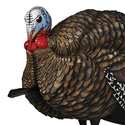 Avian X LCD 1/2 Strut Jake Turkey Decoy by Avian-X - Image 6