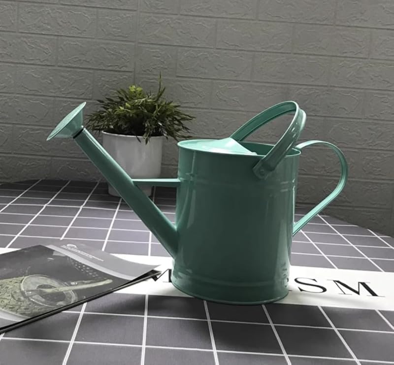 アメリカンじょうろ ステンレススチール 大容量3.5L/6.5L 木製ハンドル 家庭用野菜花 庭の必需品