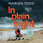 Cover of In Plain Sight