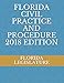 FLORIDA CIVIL PRACTICE AND PROCEDURE 2018 EDITION