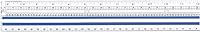 Westcott 12-Inch Magnifying Ruler with 2X Magnification - Data Processing, Spreadsheet Reading, School Supplies, 1/16-Inch & Cm Scales