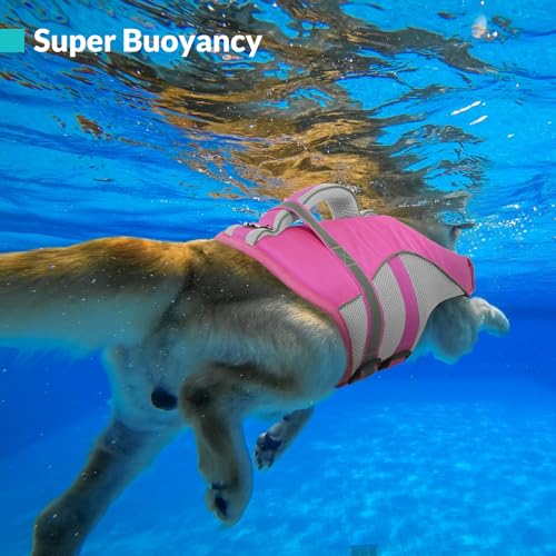 Queenmore Dog Life Vest for Swimming, Adjustable High Visibility Dog Life Jacket with Superior Buoyancy and Rescue Handle, Pink, XS