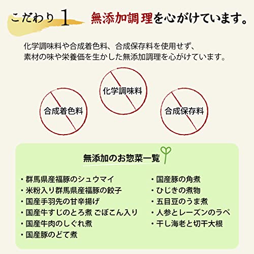 惣菜 まつおか 9品バラエティセット