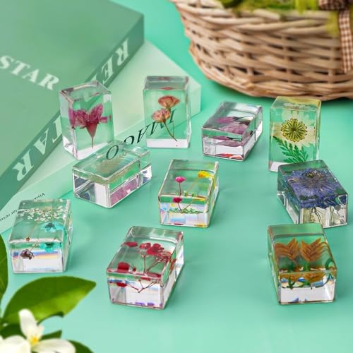 image for JINLISPIN 10 Pcs Flower in Resin Specimen Pressed Flower Paperweight F