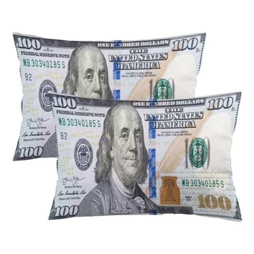 Money Throw Pillow Cover Set of 2, 20