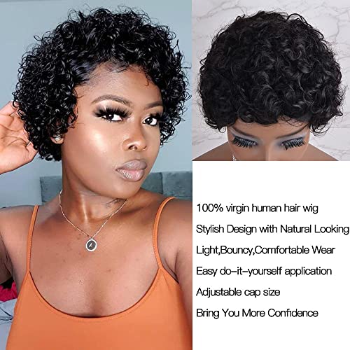 Short Curly Wigs For Black Women None Lace Pixie Cut Wig Short Human Hair Wigs For Black Women Human Hair Pixie Cut Wigs Human Hair Full Made Wigs Natural Color #TOP2