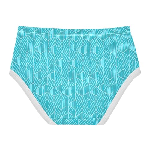 Texture Blue Toddler Girls's Underwear 2T 23028862