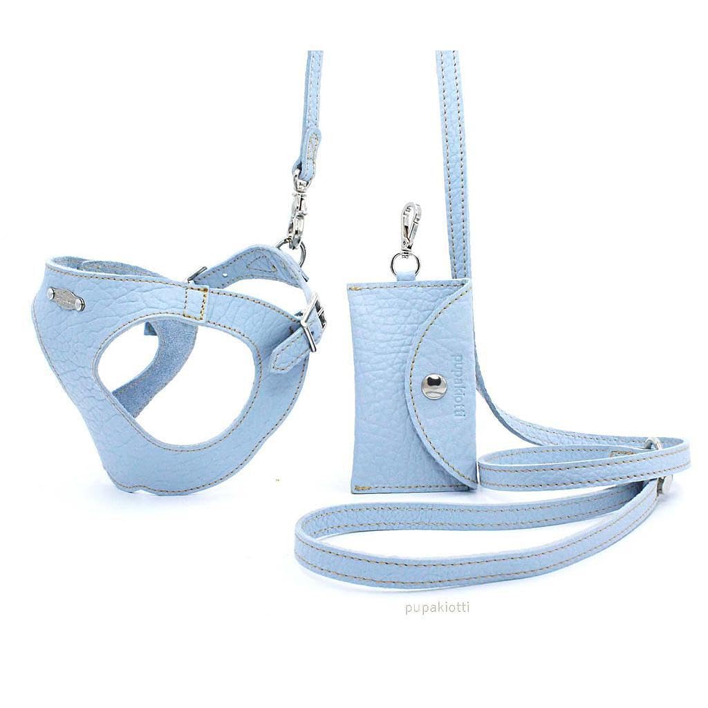 Basic. Set 3 Pezzi. Pettorina per Cani, Guinzaglio e Porta Sacchetti per Cane in Pelle Made in Italy Arancione 2XS