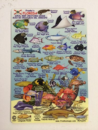 Franko's Florida Reef Fish and Creature Guide