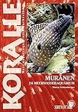  Muränen im Meerwasseraquarium: Die Gattungen Echidna, Gymnomuraena und andere (Art für Art: Meerwasser)