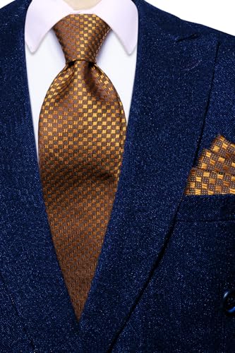 Image of Hi-Tie Mens Paisley Floral Striped Ties Set Silk Necktie and Lapel Pin for Men Pocket Square Cufflinks Set Business Wedding