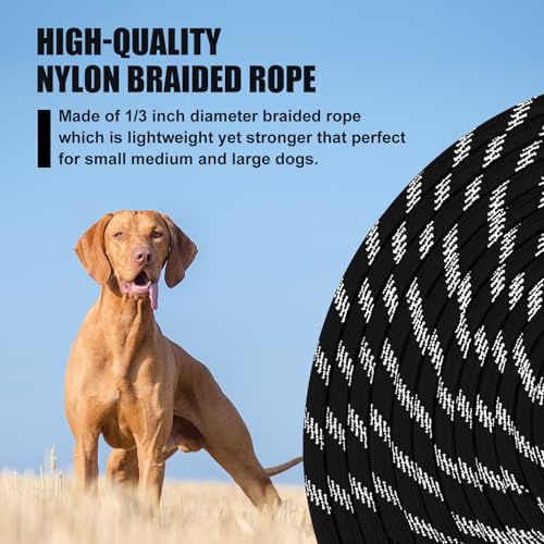 Lynxking Leash Training Tips